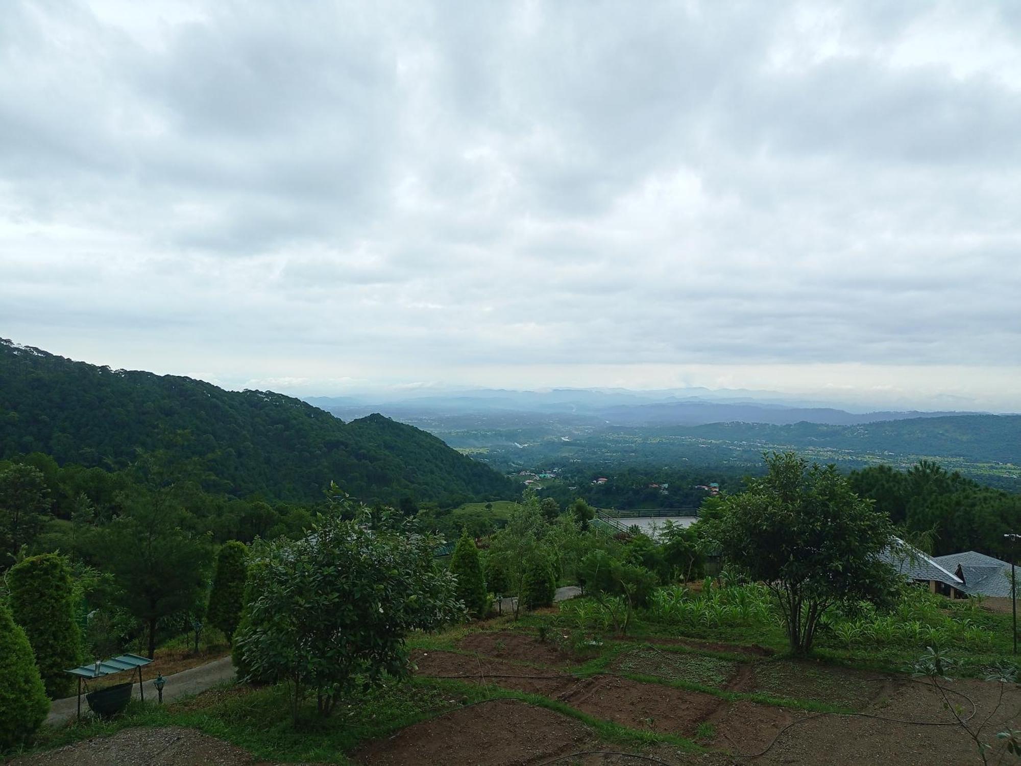 Rakkh Resort, A Member Of Radisson Individuals Retreats Palampur Exterior photo