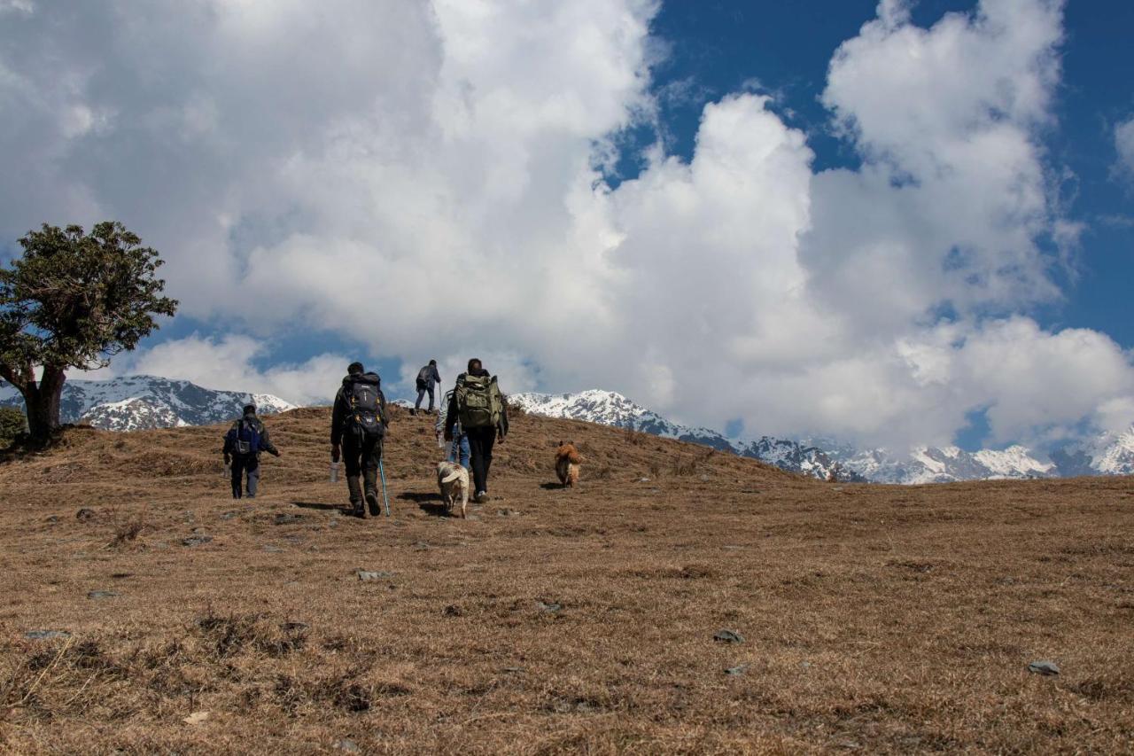 Rakkh Resort, A Member Of Radisson Individuals Retreats Palampur Exterior photo