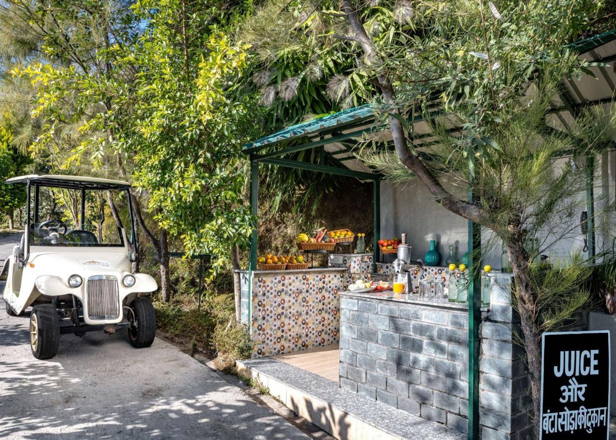 Rakkh Resort, A Member Of Radisson Individuals Retreats Palampur Exterior photo