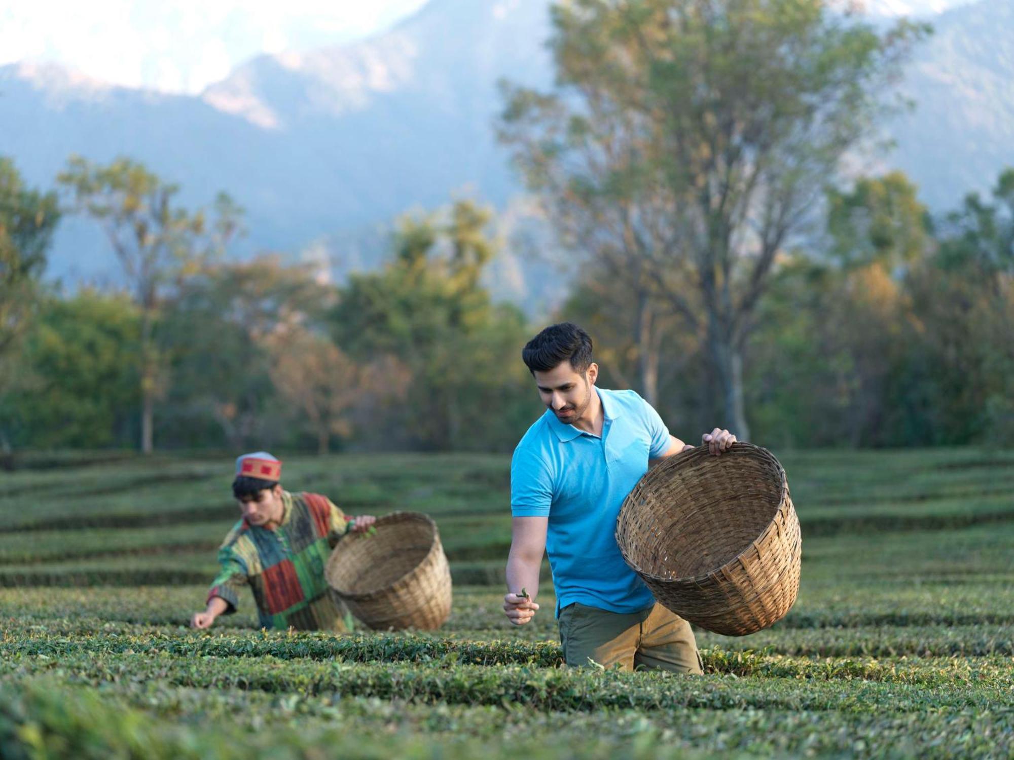 Rakkh Resort, A Member Of Radisson Individuals Retreats Palampur Exterior photo