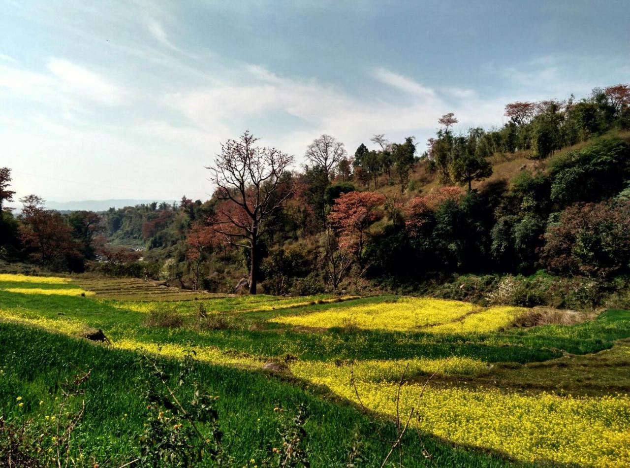 Rakkh Resort, A Member Of Radisson Individuals Retreats Palampur Exterior photo